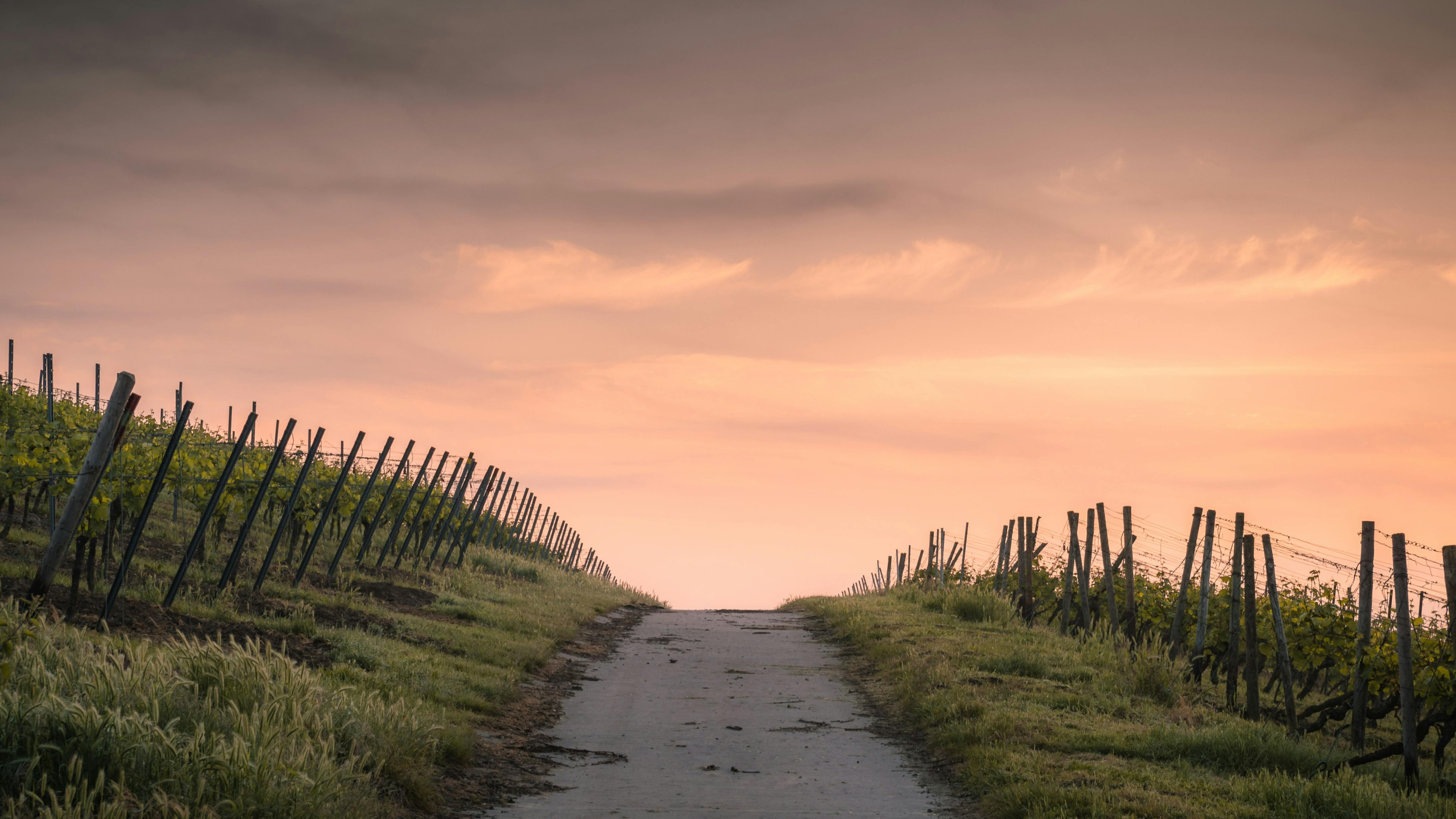 12 Karsten Wurth HiE1bIIoRqQ Unsplash