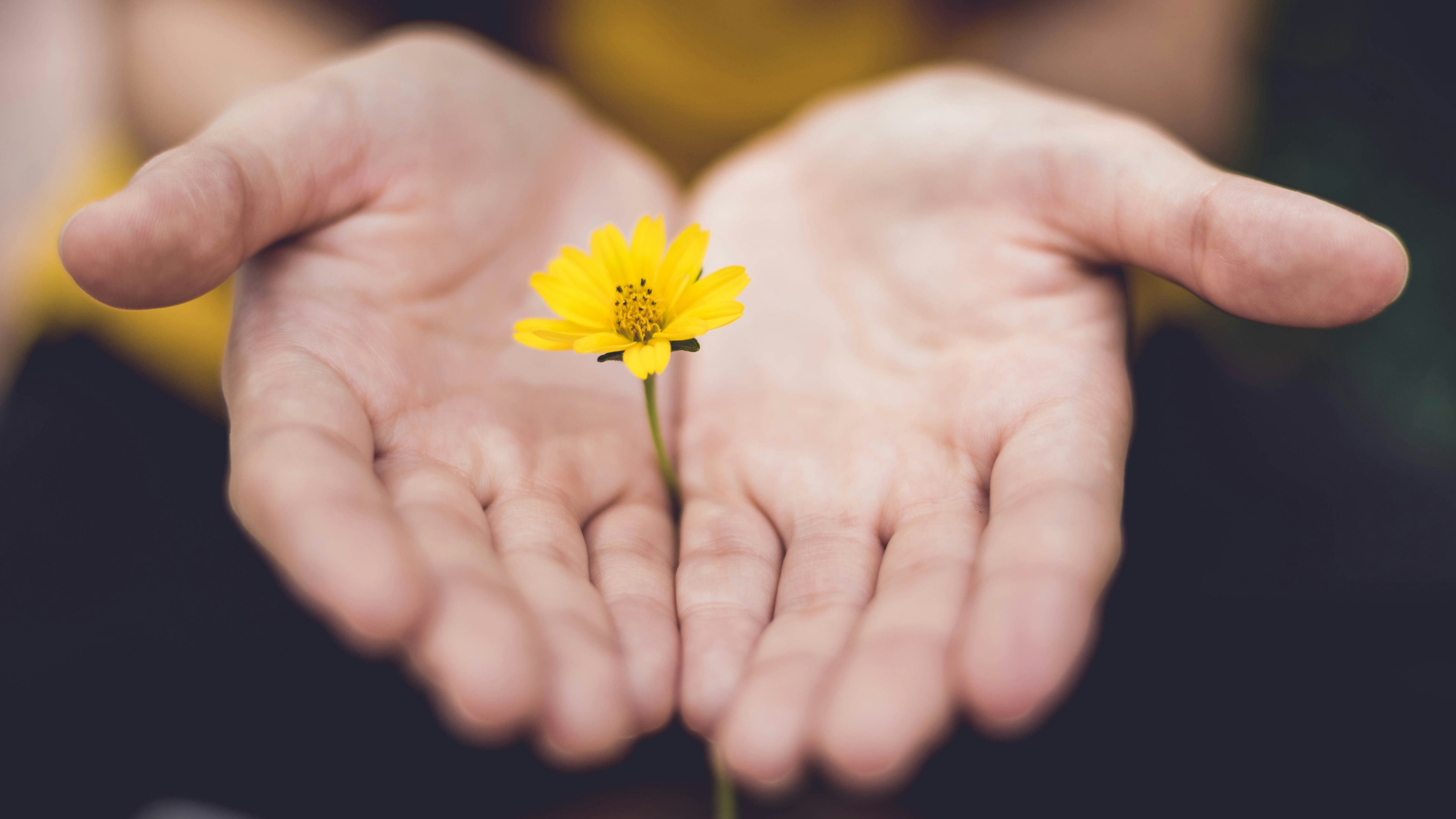9 Lina Trochez KtPKyUs3Qjs Unsplash