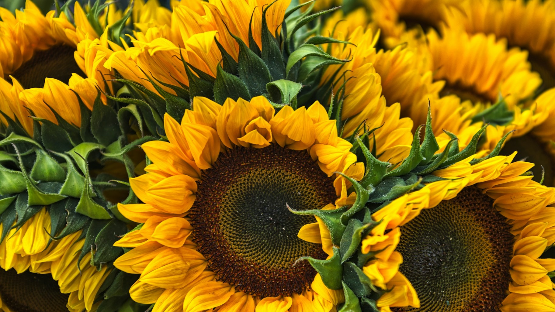 Eric Prouzet RlUNoeRAer4 Unsplash