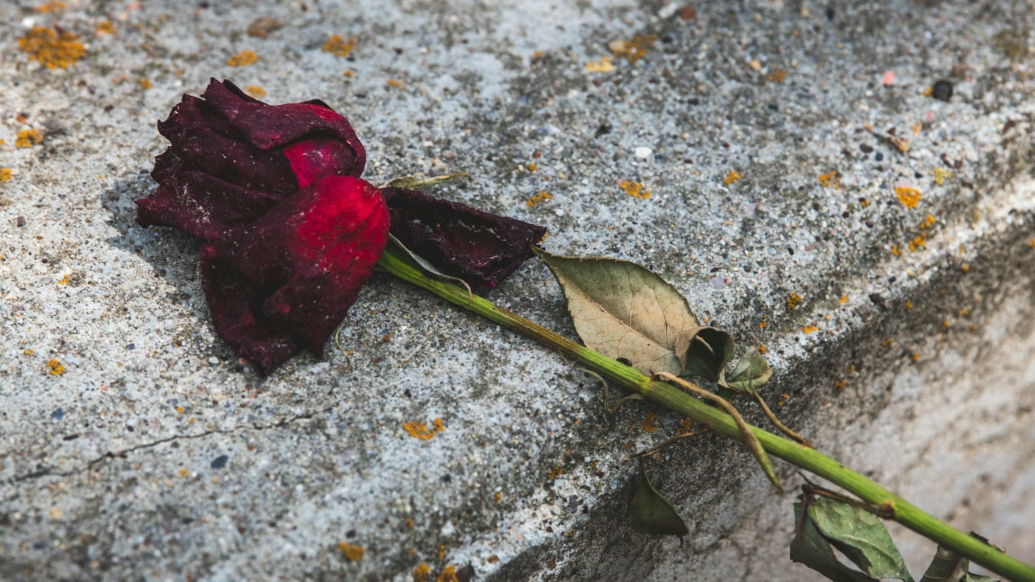 Jon Sailer U3nTusuFKG4 Unsplash